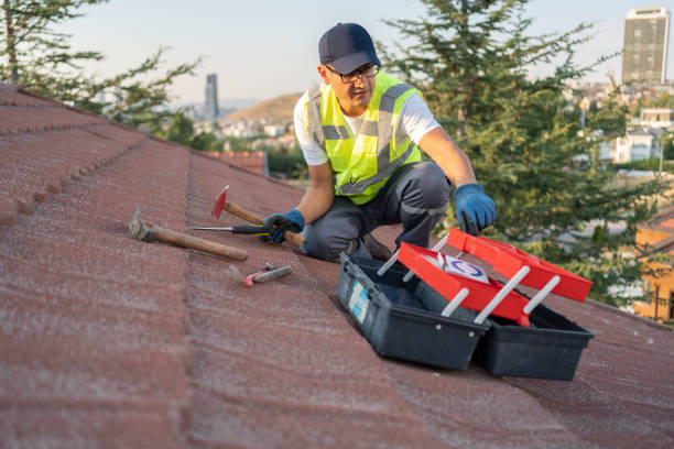 Best Yard Waste Removal  in Philomath, OR